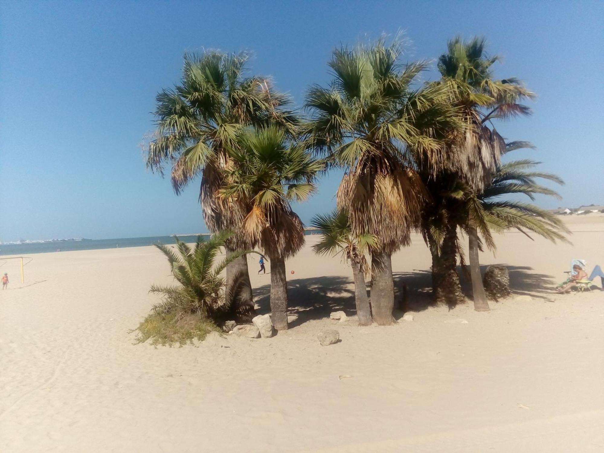Apartamento Primera Linea De Playa Valdelagrana El Puerto de Santa Maria Exterior foto